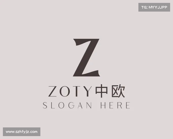 介绍zoty中欧